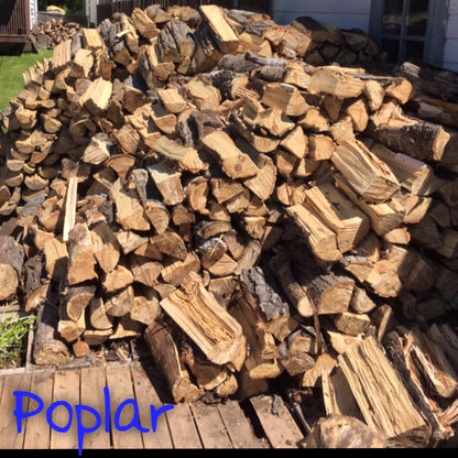 Poplar Firewood